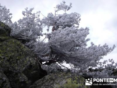 La Peñota y Peña del Arcipreste;actividades senderismo madrid;grupos montaña madrid